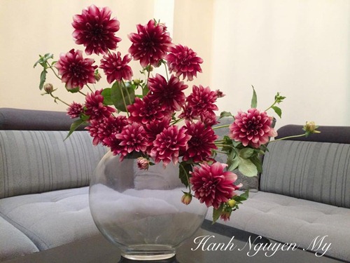 Học cách cắm bình hoa thược dược amp;#34;chuẩn 10 điểmamp;#34; của mẹ Hà thành si mê hoa - 3