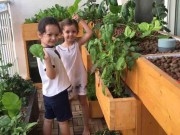 Nhà đẹp - Hồng Nhung khoe vườn rau xanh mướt trên ban công trồng từ đất sét