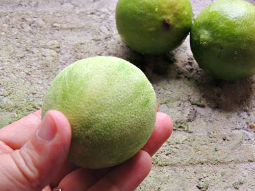Chỉ cần ăn mỗi quả này cân nặng cứ thể giảm, da cứ thế căng mịn - 3