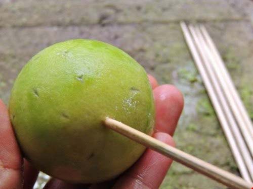 Chỉ cần ăn mỗi quả này cân nặng cứ thể giảm, da cứ thế căng mịn - 4
