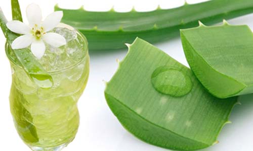 Đã tìm ra thần dược dưỡng da sáng bóng, căng mịn, mỗi hôm chỉ cần thoa 2 giọt - 1