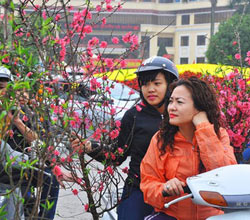 Tạ mộ tổ tiên như thế nào cho đúng? - 2