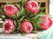 Nhà đẹp - 5 loại hoa đẹp mỹ mãn trưng trong nhà ngày Tết chỉ người sành hoa mới biết