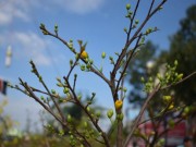 Tin trong nước - Phiên tòa cuối năm, người cha và hai đứa trẻ...