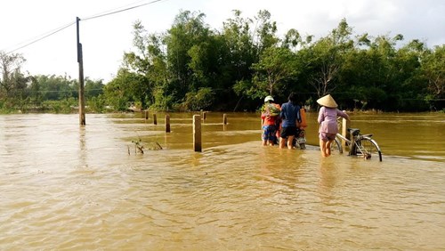 Bình Định: Ngày Tết vẫn khổ sở vì lũ - 3