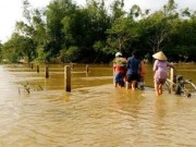 Tin tức - Bình Định: Ngày Tết vẫn khổ sở vì lũ