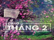 Nhà đẹp - Top 3 con giáp tiền lúc nào cũng đầy túi trong tháng 2/2017
