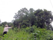 Tin tức - Mâu thuẫn đất đai, anh trai vào rừng chém em ruột trọng thương