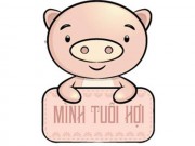 Nhà đẹp - Chi tiết diễn biến trong năm 2017 xảy ra với người tuổi Hợi