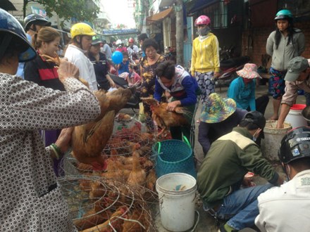 Mùng 2 tết, rau xanh trữ lạnh hét giá trên trời - 1