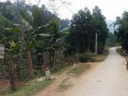 Tin tức - Đi chơi Tết, phát hiện người phụ nữ treo cổ bên bìa rừng