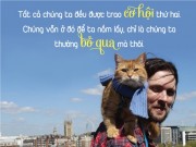 Xem & Đọc - Sức hấp dẫn đặc biệt của Chú mèo đường phố trở thành hiện tượng toàn cầu