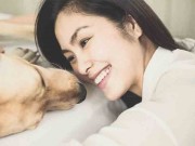 Nhà đẹp - Sao Việt và những khoảnh khắc bên thú cưng đẹp đến mê lòng