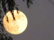 Nhà đẹp - Rằm tháng Giêng: 10 điều đại kỵ truyền đời không nghe bảo sao xui xẻo, nghèo nàn