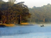 Du lịch - Bộ ảnh Đà Lạt đẹp ma mị trong sương mù