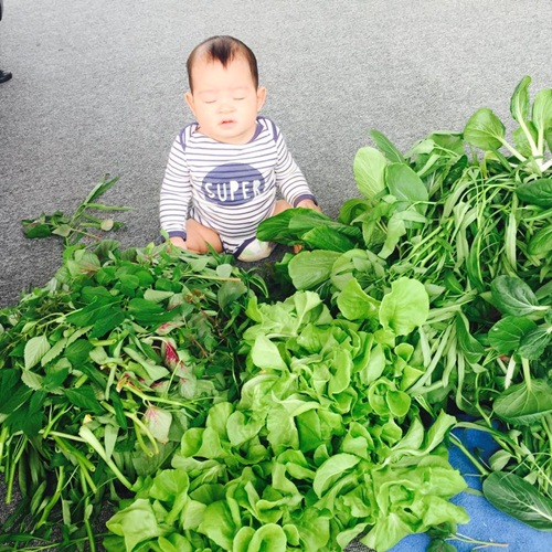 Biểu cảm hóm hỉnh của cậu út hơn 6 tháng tuổi nhà Lý Hải - Minh Hà - 7