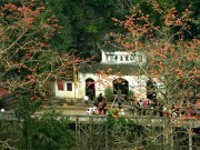 Du lịch - Dù bận rộn đến mấy, đầu năm nhất định phải ghé chùa Hương cầu xin lộc, phúc