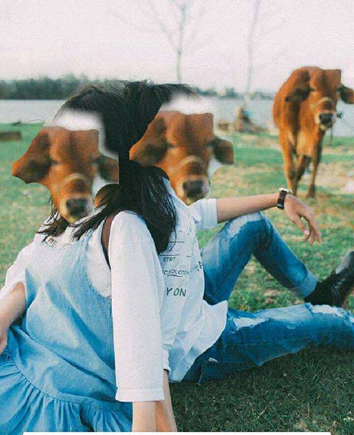 Cặp đôi lên mạng nhờ amp;#34;xoá hộ con bòamp;#34; và cái kết khiến dân tình cười đau ruột - 9