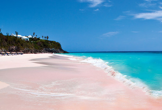 4. Bãi biển cát hồng: Đây là bãi biển trải dài gần 5 km trên đảo Harbour – Bahamas. "Tác giả" của hiện tượng cát có màu hồng không phải do ô nhiễm hay thủ thuật ánh sáng tạo ra mà do một vi sinh vật có tên gọi là trùng lỗ (foraminifera).
