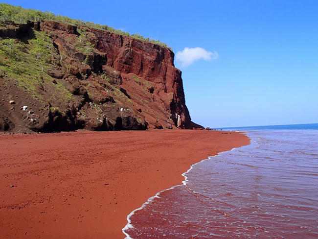 Cát ở bãi biển trên đảo Rabida - Ecuador có màu đỏ lạ mắt là do sự oxy hóa các mỏ nham thạch giàu chất sắt, hoặc cũng có thể là do những trầm tích san hô.
