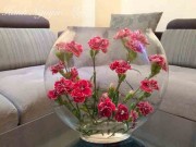 Nhà đẹp - Gợi ý các kiểu cắm cho 3 loại hoa được chị em mê mẩn nhiều nhất