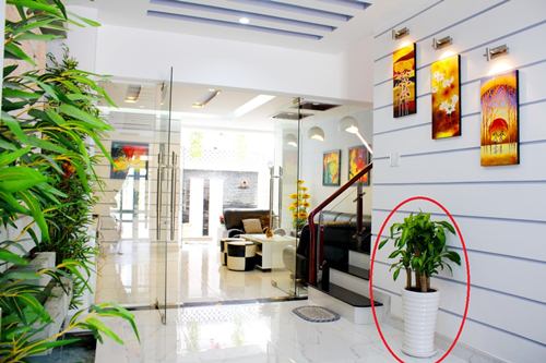 Phong thủy nhà ở giúp gia chủ lắm tiền, nhiều của, dồi dào sức khỏe - 1