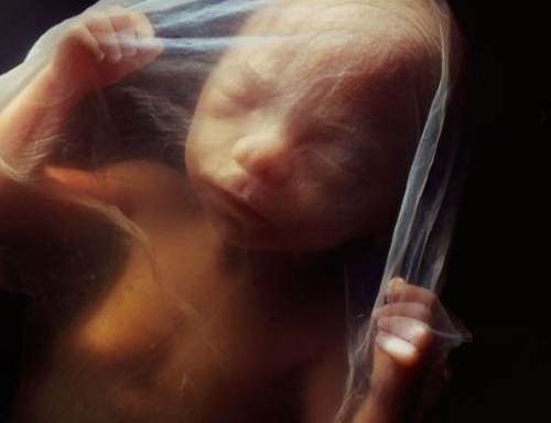 Mang thai tháng thứ 5: Cơ thể mẹ thay đổi “chóng mặt” - 2