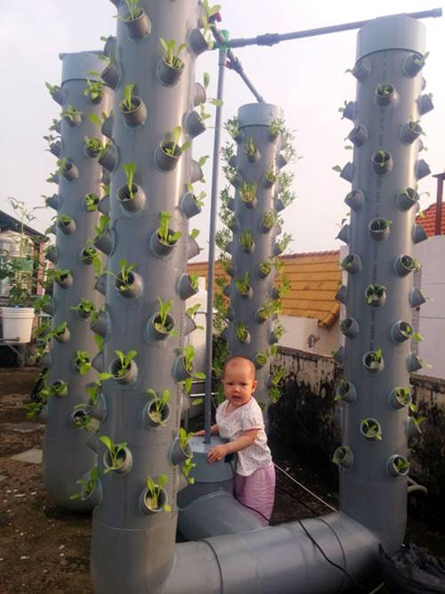 Sài Gòn: Khu vườn sân thượng 1m² thu 40kg rau sạch của anh nông dân thành phố - 3
