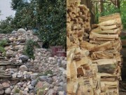 Eva tám - Bạn có đủ tinh mắt để tìm ra chú mèo nằm ở đâu không?