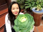 Nhà đẹp - Chồng ngộ độc vì ăn rau sạch siêu thị, 8X xinh đẹp Hà Nội quyết tâm tự trồng rau tại nhà