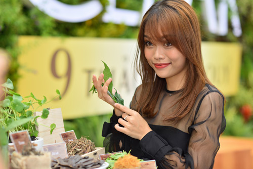 BTV Làm đẹp nổi tiếng Sài Gòn bật mí cách dùng thảo dược chăm sóc tóc - 1