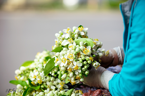 Hà Nội nồng nàn trong hương hoa bưởi tháng hai - 4