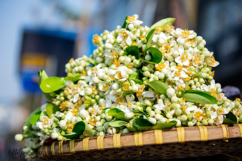 Hà Nội nồng nàn trong hương hoa bưởi tháng hai - 10