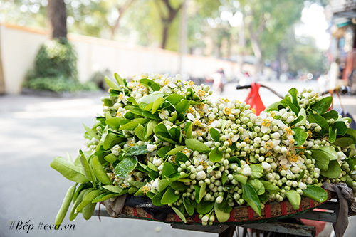 Hà Nội nồng nàn trong hương hoa bưởi tháng hai - 14