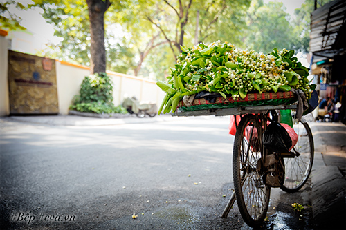 Hà Nội nồng nàn trong hương hoa bưởi tháng hai - 1