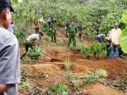 Tin tức - Thảm án rúng động Lâm Đồng: Cùng người tình chôn giấu xác chồng rồi đăng tin tìm kiếm