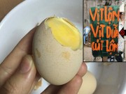 Bếp Eva - Khám phá món “Vịt dữa” – từ khóa gây sốt nhất mạng xã hội hiện nay