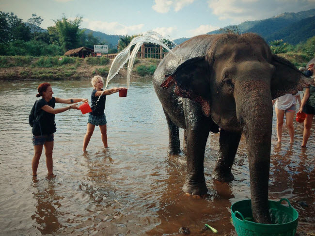 Một trong những trải nghiệm thích thú nhất của các tình nguyện viên là thời gian tắm cho voi ở dưới sông.
