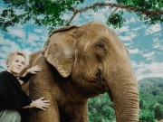 Du lịch - Quên resort xa hoa đi, đến Thái Lan chăn voi mới là "chất"