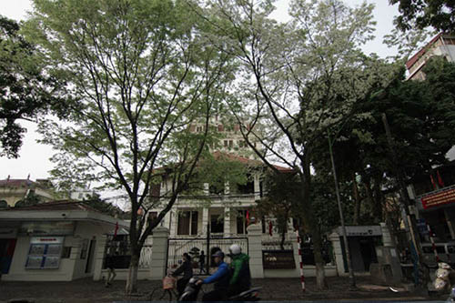 Những cung đường hoa sưa thương nhớ của tháng Ba Hà Nội - 14