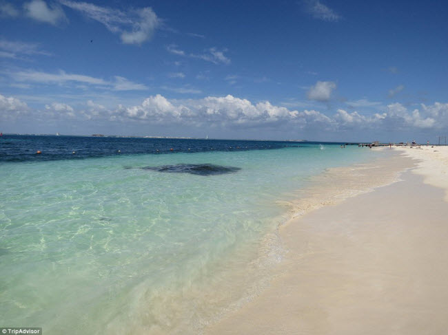 Bãi biển Playa Norte ở Isla Mujeres, Mexico, thu hút đông du khách nhờ có nước trong và ấm cũng như bãi biển nông.
