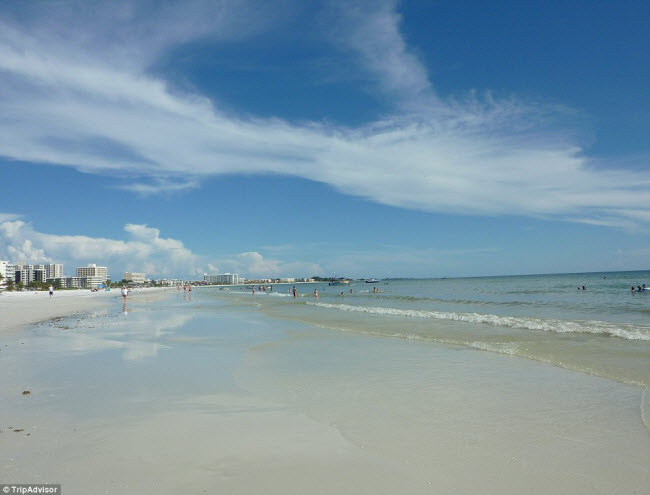 Tới bãi biển Siesta ở bang Florida, Mỹ, du khách có thể tham gia nhiều hoạt động trên bãi biển như bóng chuyền hay nằm thư giãn dưới ánh nắng ấm áp. 
