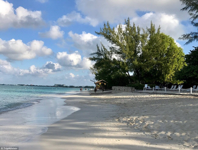 Bãi biển Seven Mile trên quần đảo Cayman gây ấn tượng với sự mến khách của người dân địa phương.
