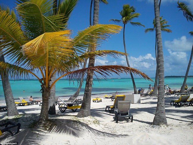 Bãi biển Bavaro ở Punta Cana, Dominica, nổi tiếng với cát mịn cùng nước biển trong xanh và sóng rất hiền hòa.
