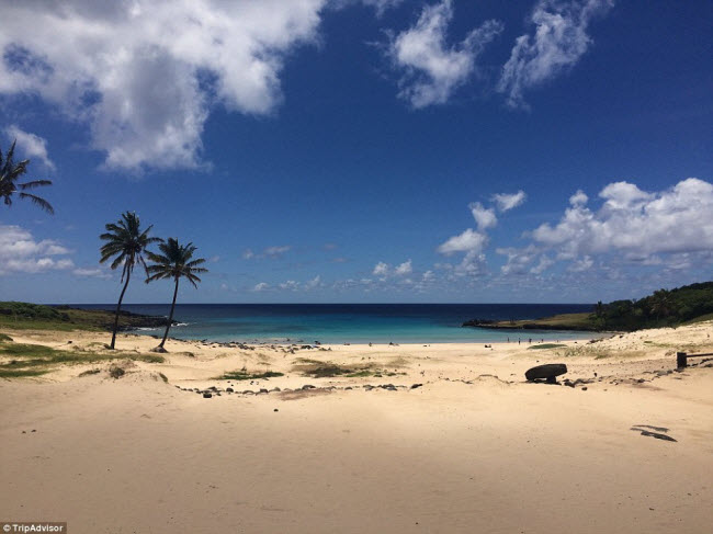 Cồn cát, cây cọ và biển lặng là những nét hấp dẫn của bãi biển Anakena trên đảo Phục Sinh.
