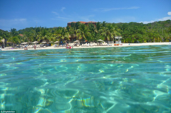 Nước biển trong và những rạn san hô rực rỡ khiến bãi biển West Bay ở Honduras trở thành thiên đường dành cho du khách mê lặn.
