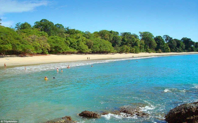 Nằm trong vườn quốc gia Manuel Antonio của Costa Rica, bãi biển Playa Manuel Antonio gây ấn tượng với rừng cây xanh mướt chạy dọc bãi tắm. Du khách cần đề phòng bị khỉ lấy trộm đồ và thức ăn.
