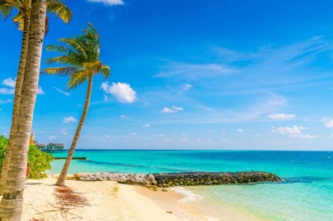 Maldives: Diễn viên Josh Duhamel và người bạn đời Fergie đã tận hưởng kỷ nghỉ trăng mật lãng mạn giữa các hòn đảo nhỏ tại Maldives. Họ thưởng thức bữa tối tại biệt thự riêng, du ngoạn trên biển bằng du thuyền hay tham gia các hoạt động như lặn, tập yoga trước biển, chơi tennis,.. Các cặp đôi khác cũng tận hưởng kỳ nghỉ trăng mật tại đây như Tom Cruise và Katie Holmes hay Katy Perry và Russell Brand.
