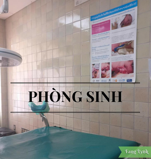 Không phải Singapore hay Malaysia, Lào mới là nước mẹ Việt này chọn để sinh con - 2