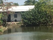 Tin tức - Nghi án chồng giết vợ rồi cắt mạch máu tự tử gây rúng động